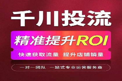 谷歌竞价广告的投放策略与成功案例分析
